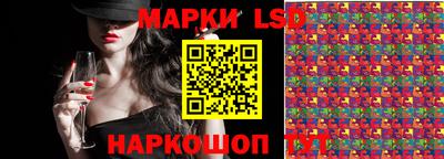гашик Будённовск