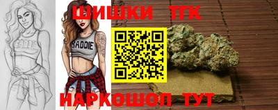 гашик Будённовск