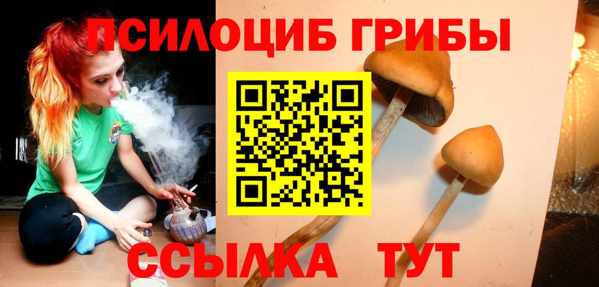 Псилоцибиновые грибы ЛСД Тамбов