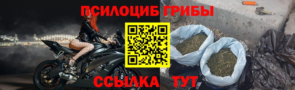 Тамбов  Псилоцибиновые грибы мухоморы  Вход с VPN  Псилоцибиновые грибы мухоморы 